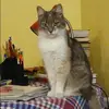 Отзыв от София Дьяконова